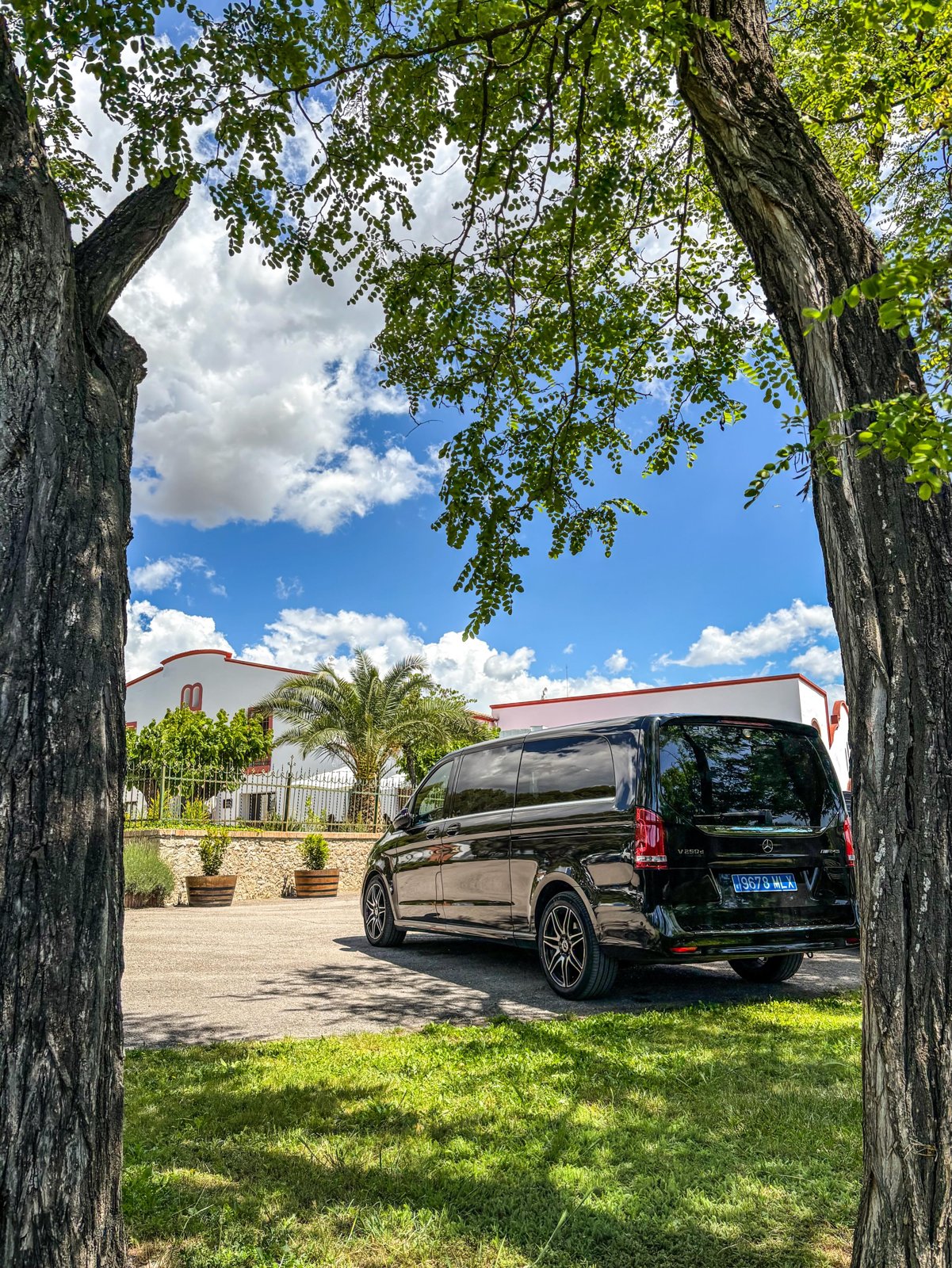 Chófer privado en Parés Baltà: enoturismo en el Penedès