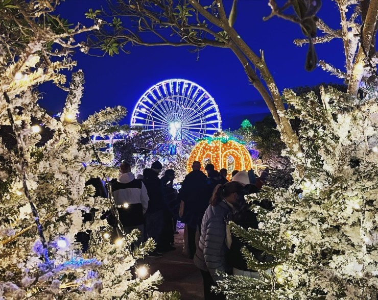 Visitantes paseando entre árboles decorados con luces y una noria al fondo durante la Navidad.