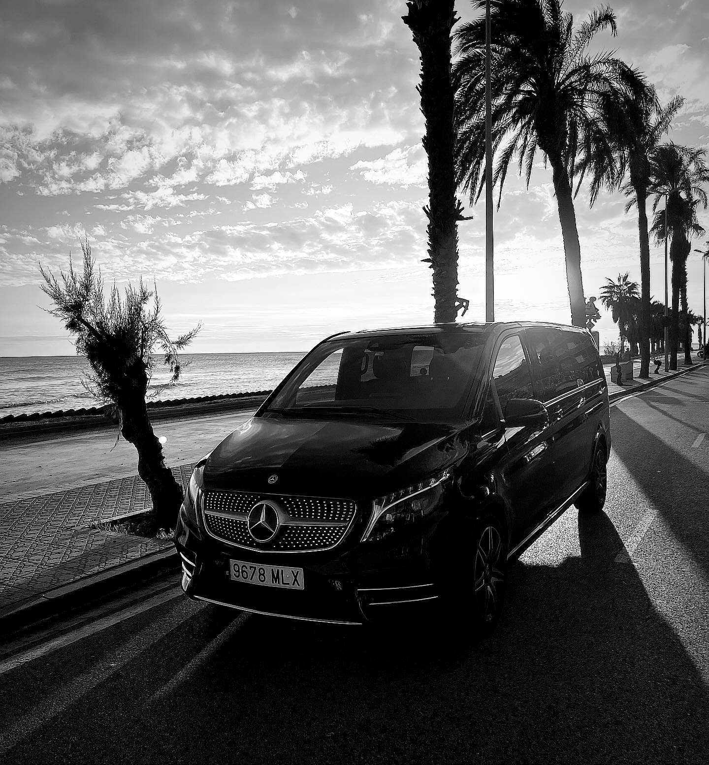 Minivan de lujo con chófer: confort y espacio para tus viajes