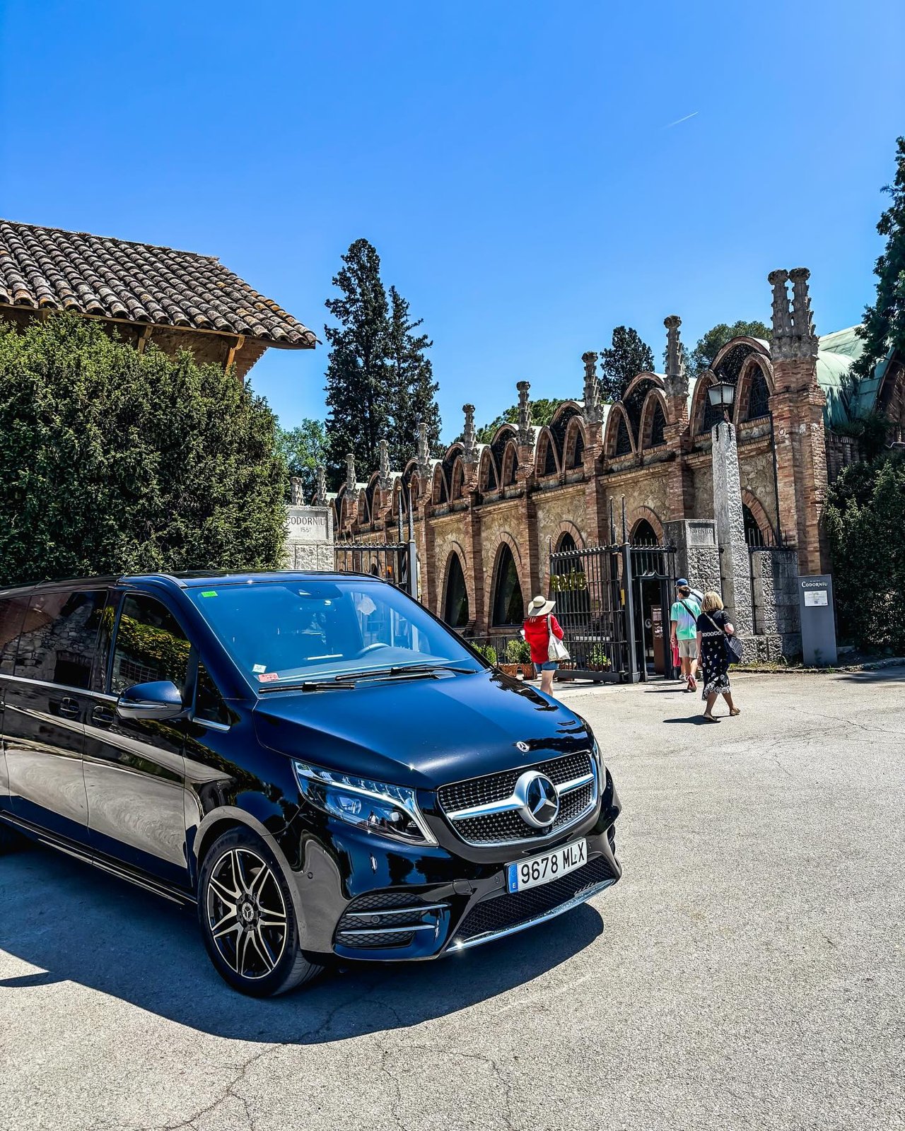 Ruta de enoturismo a Cavas Codorníu con chófer privado