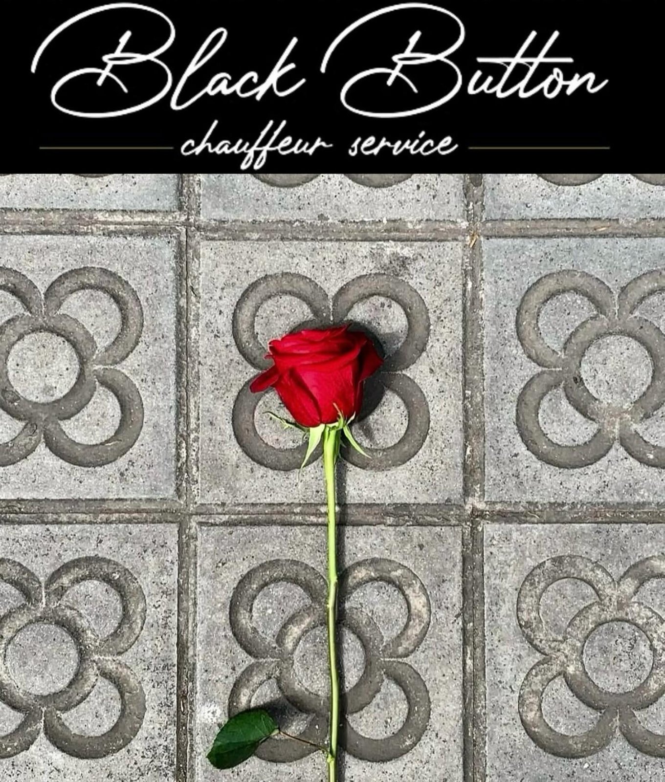 Sant Jordi 2025: felicitación de Black Button chófer privado en Barcelona