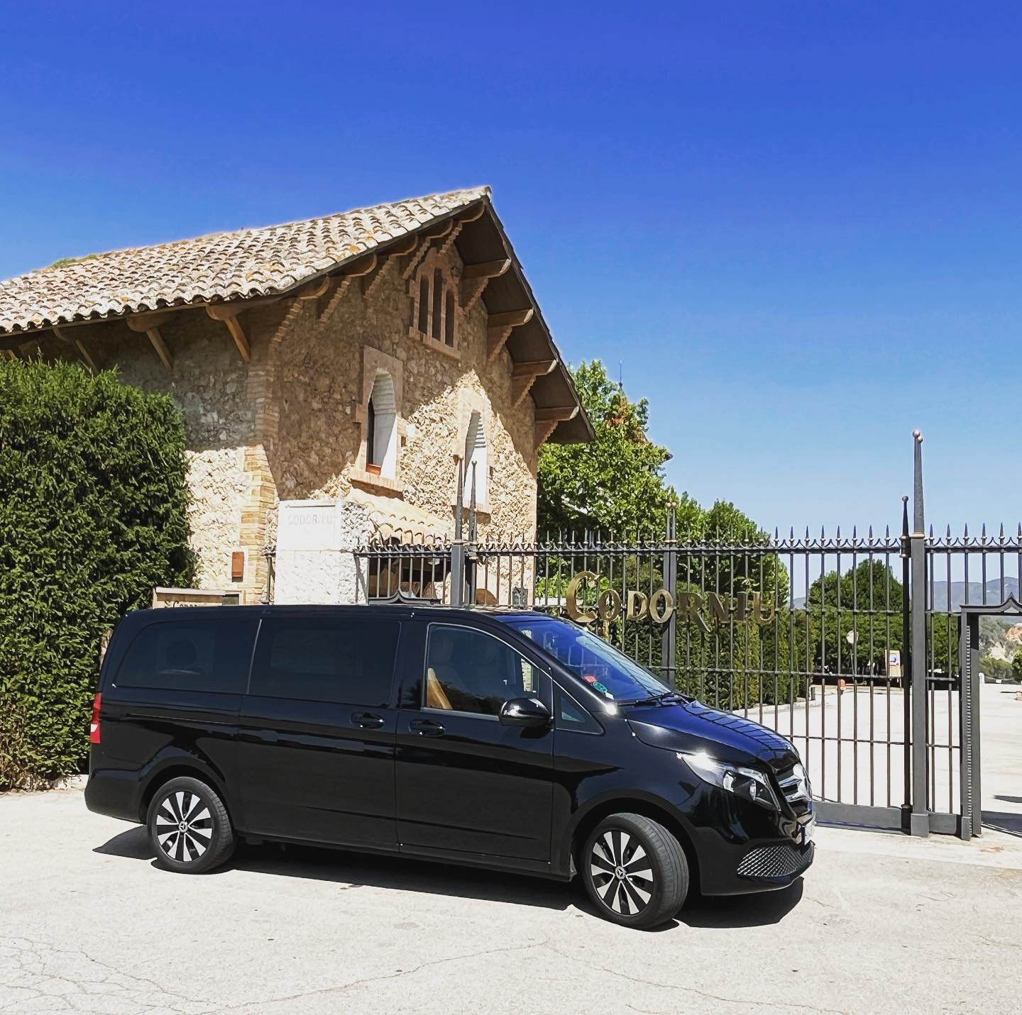 Winery Service: traslado privado a Caves Codorniu
